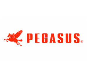 Торговая марка Pegasus
