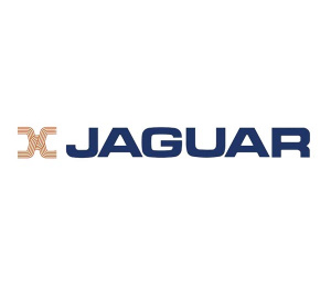Торговая марка Jaguar